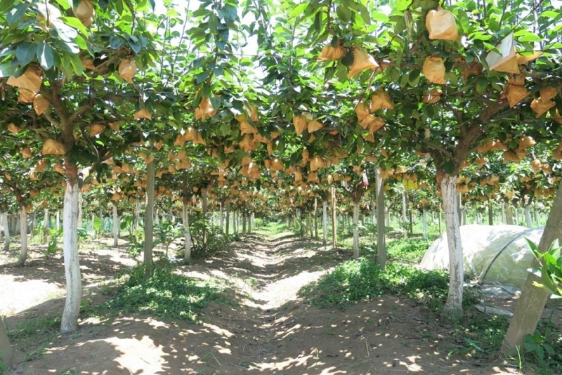 <a href="./xwzx/ezkj/202511/t20251127_735642.html">省级大赛，鄂州3家企业获奖！</a>