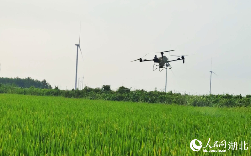 <a href="./xwzx/ezkj/202604/t20260410_759096.html">人民网报道：科技赋能 让春耕春管更高效</a>